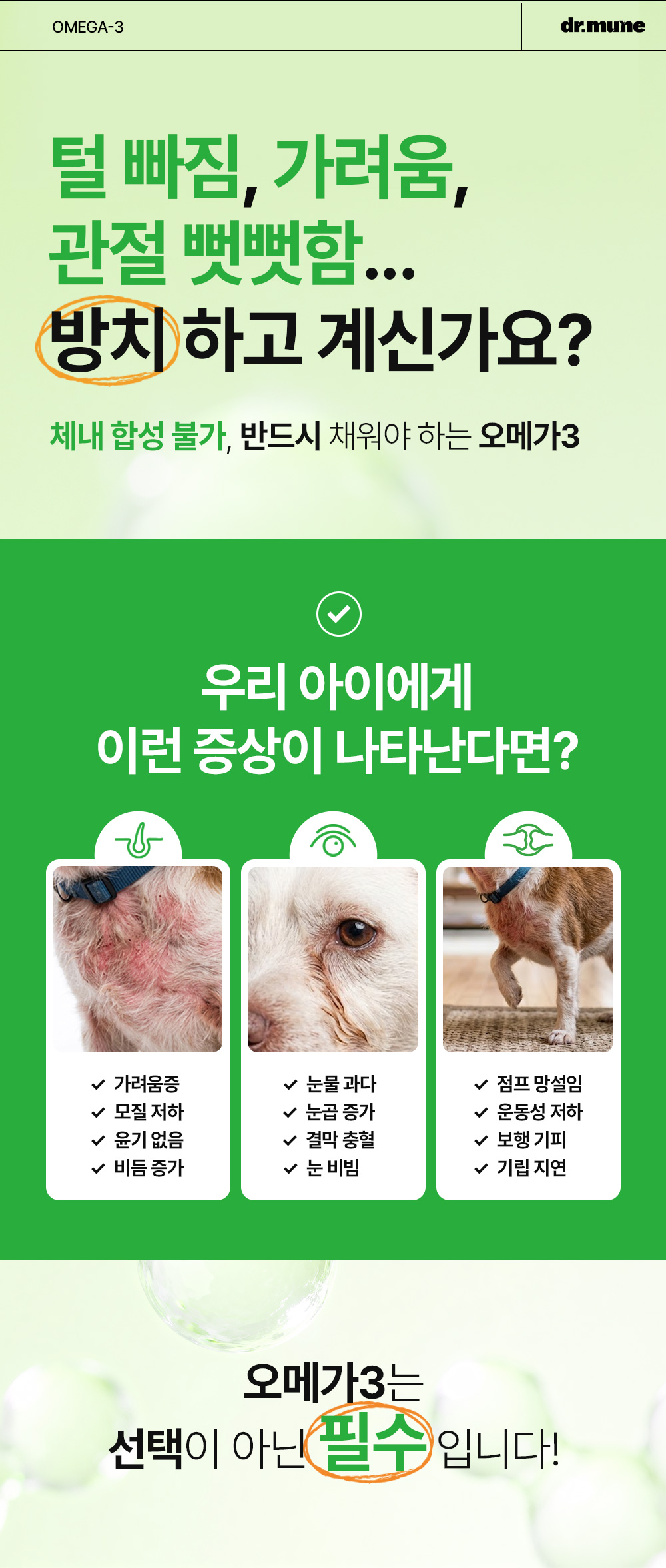 닥터뮨 식물성 오메가3 강아지 고양이 두뇌 심혈관 면역력 항산화 피부