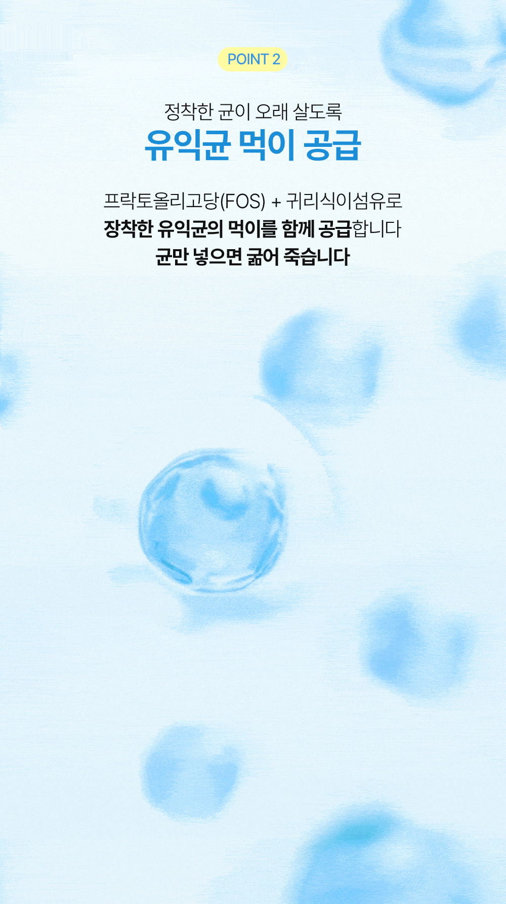 닥터뮨 키토바이오틱스 강아지 고양이 유산균 영양제 장&면역 프로바이오틱스 40p