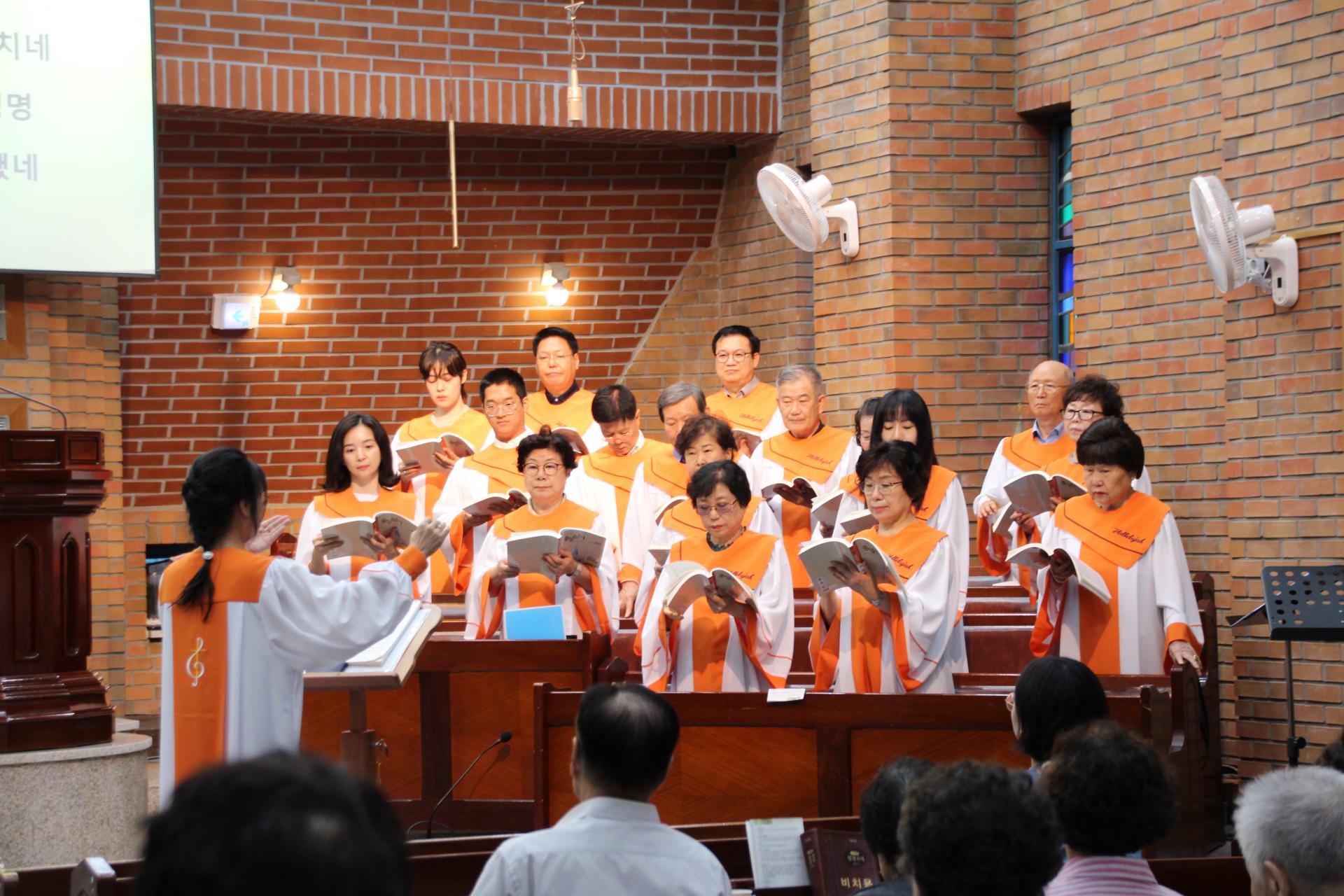 d1d1fe2064229.jpg