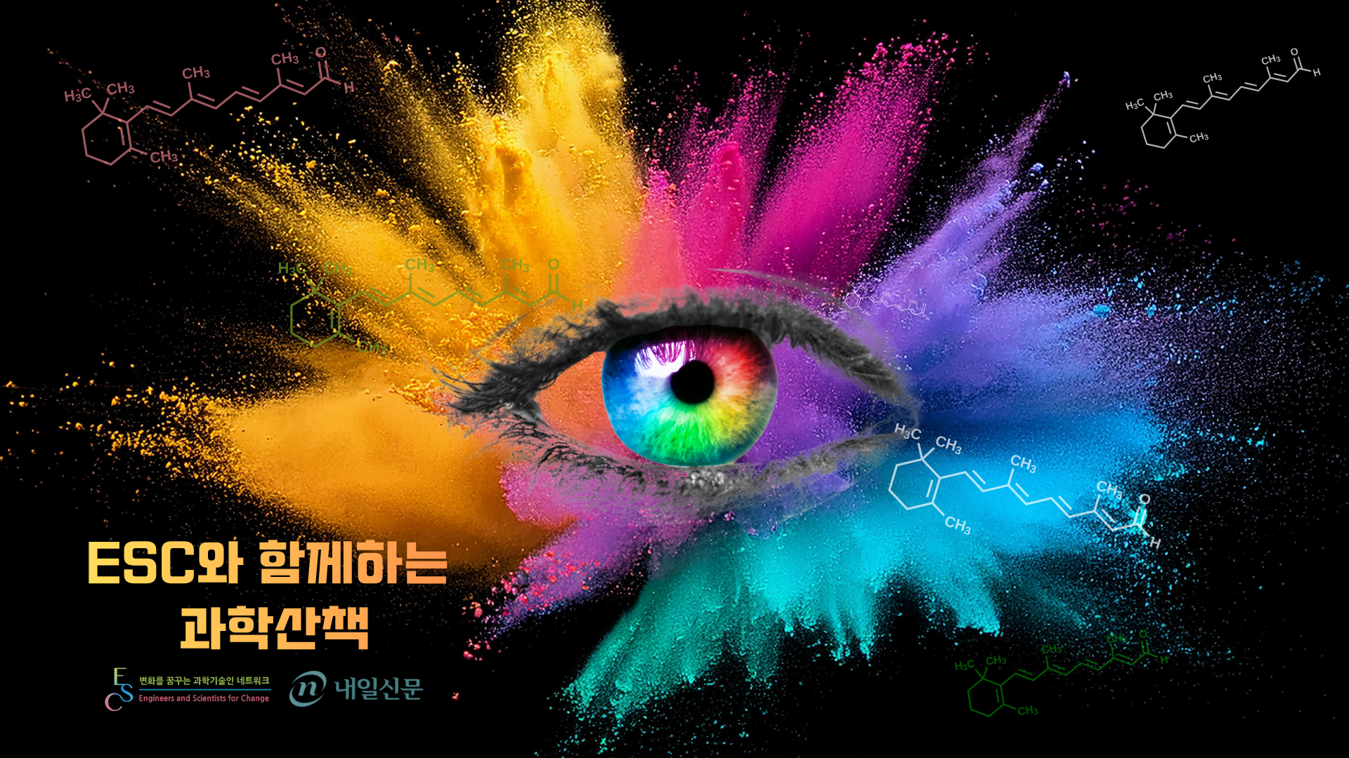 7ab7331809636.png