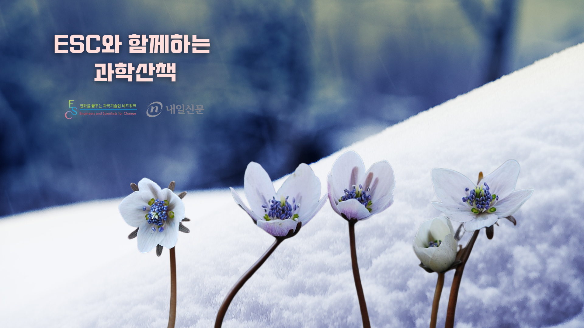 8bd38afbdc603.png