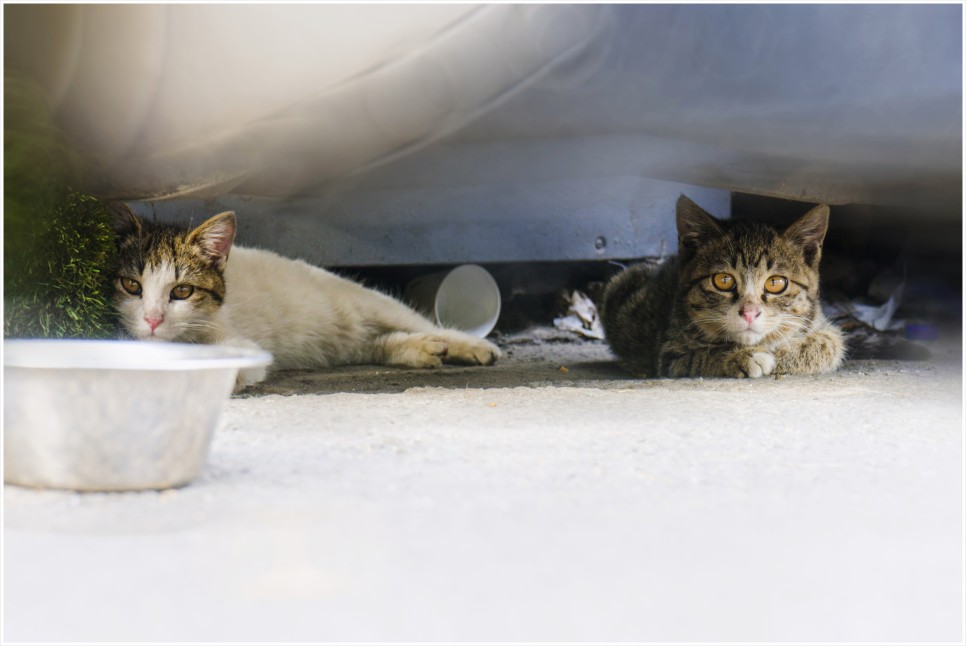 027a5363158c2.jpg