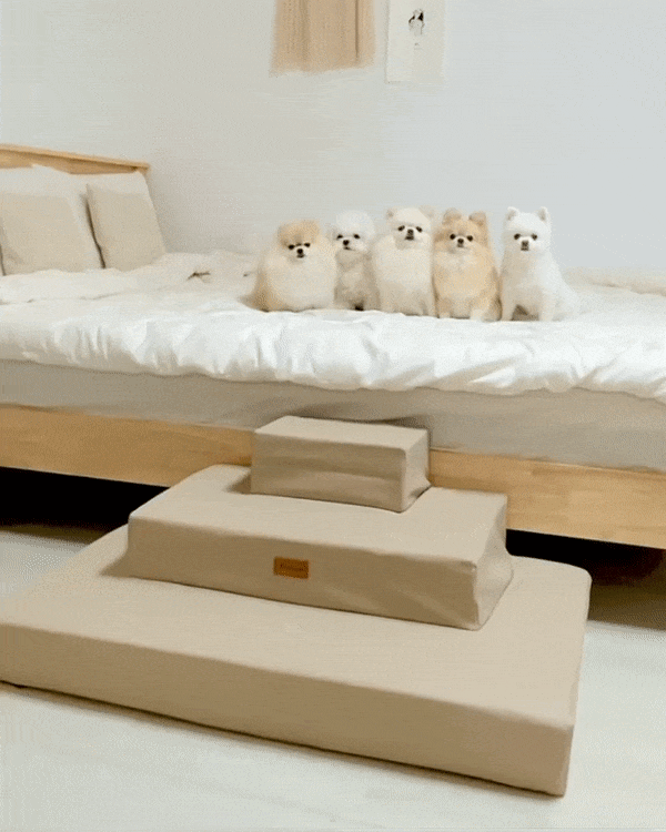 03be23839e3b5.gif