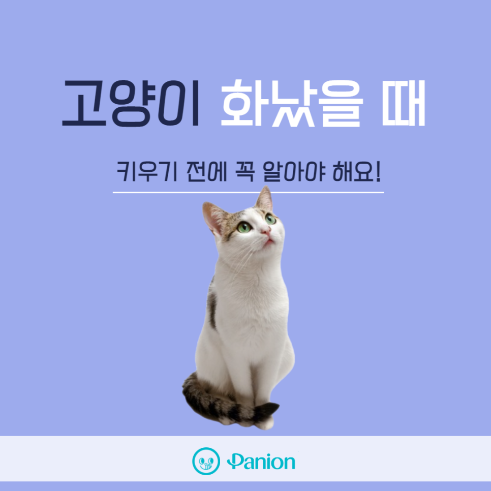 0df1729052c25.png