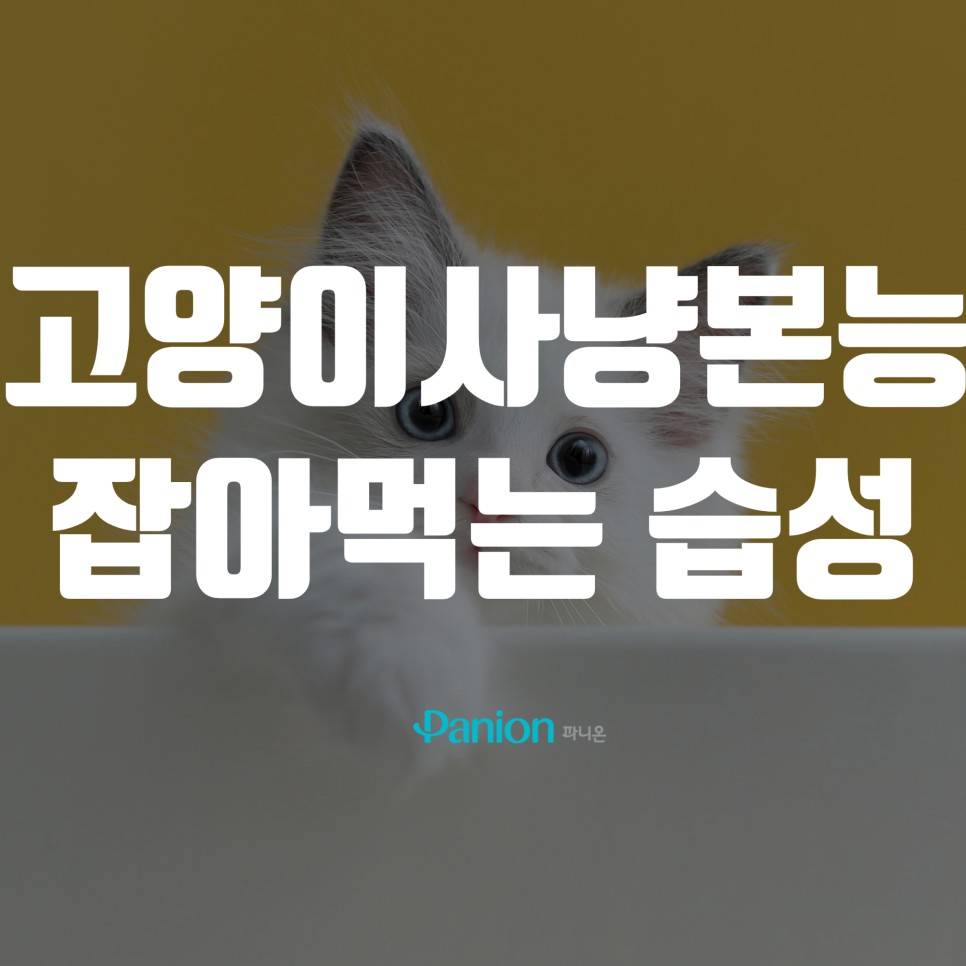 155fb10ae39c0.jpg
