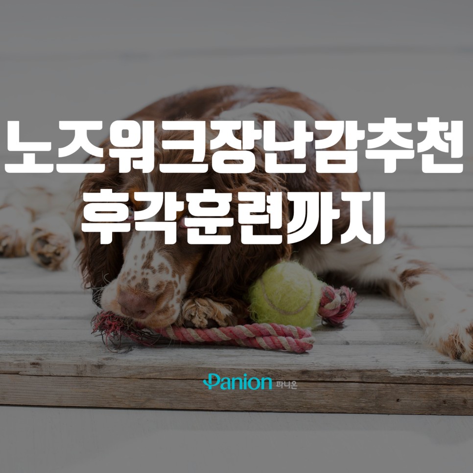 15d7afd0e5a56.jpg