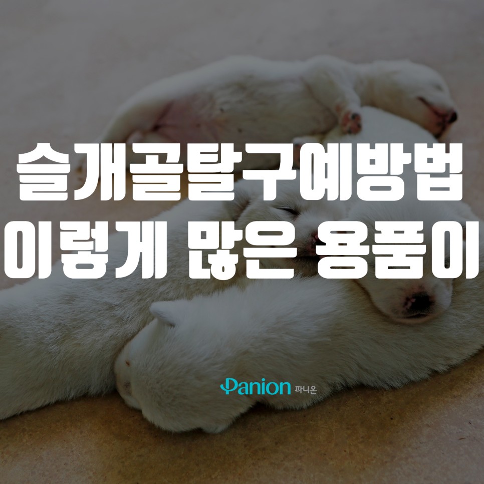 17a945a4d41e6.jpg