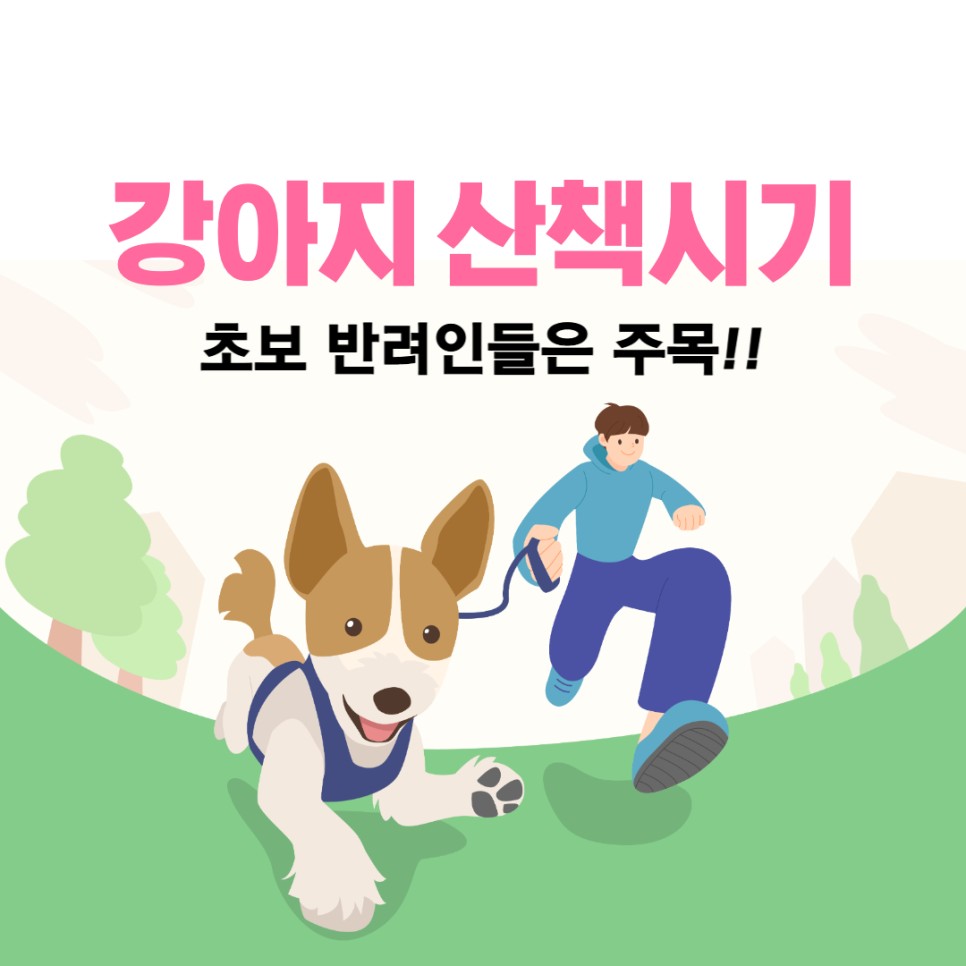 강아지가 당기지 않도록 훈련시키는 방법