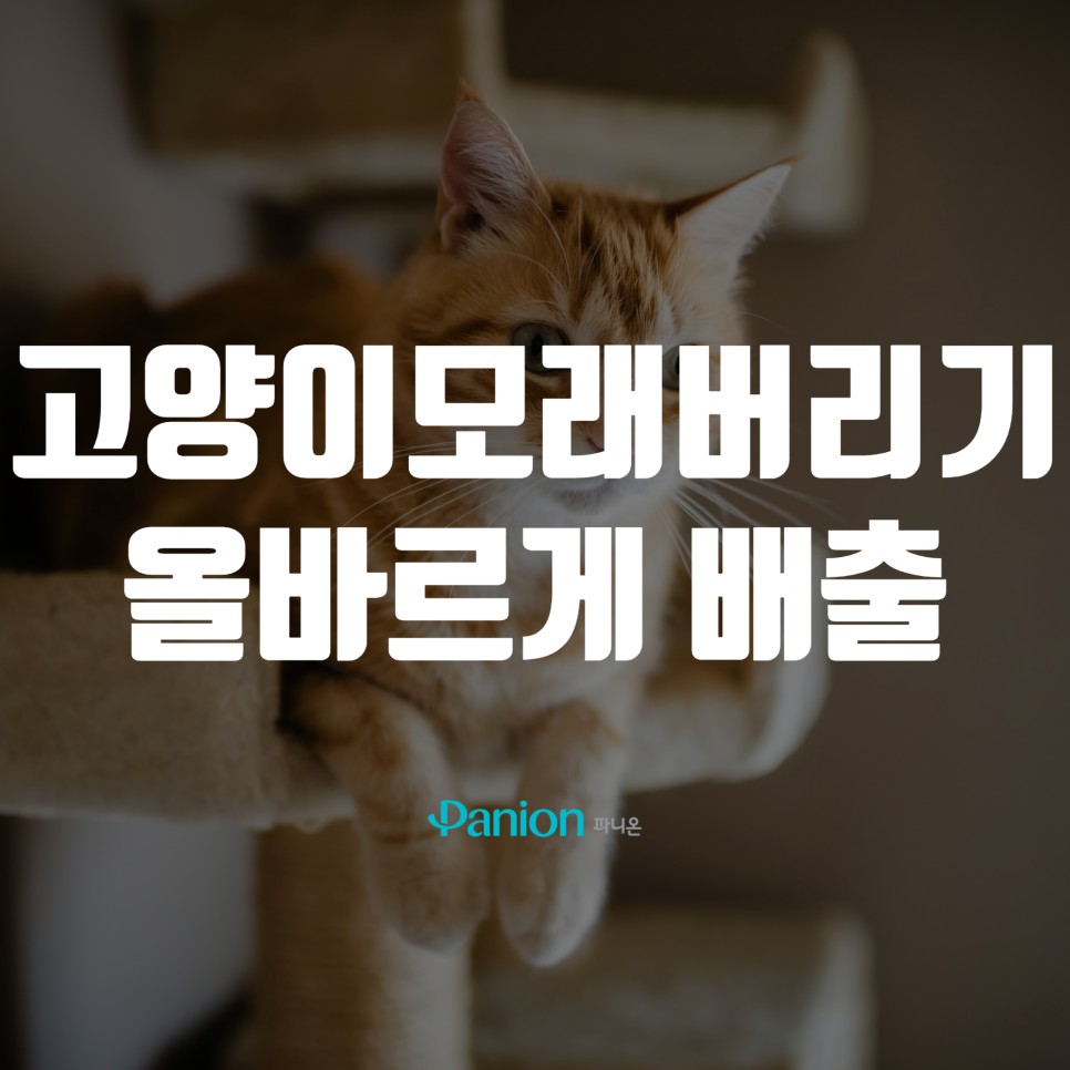 315d080ee35c9.jpg
