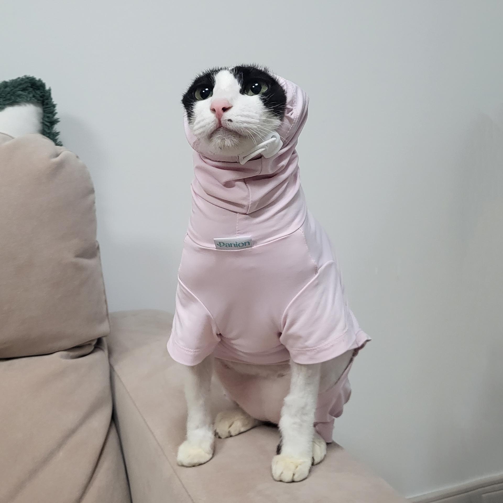 3870b386f67d4.jpg