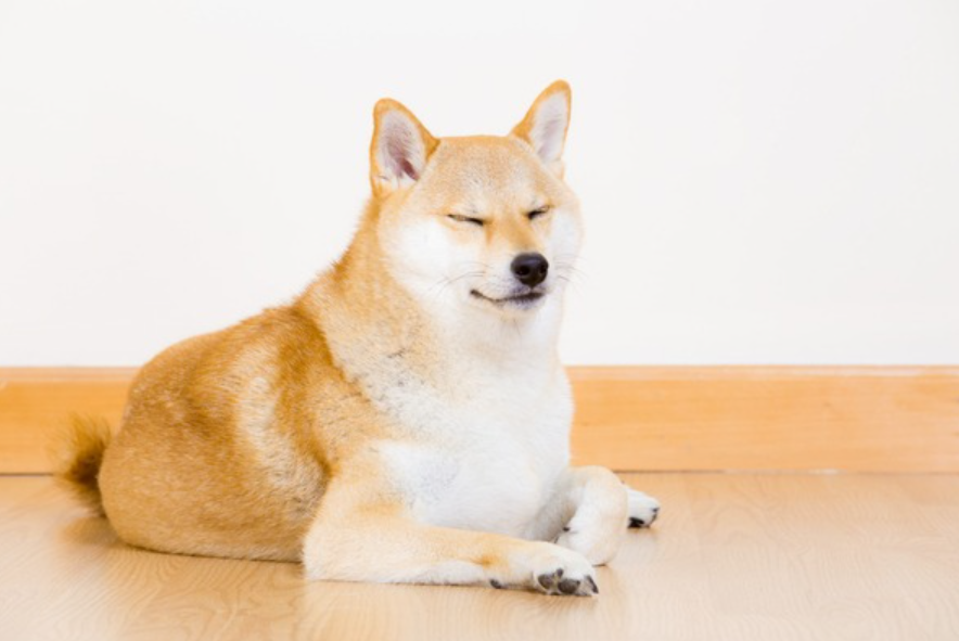 41b994b32360f.png