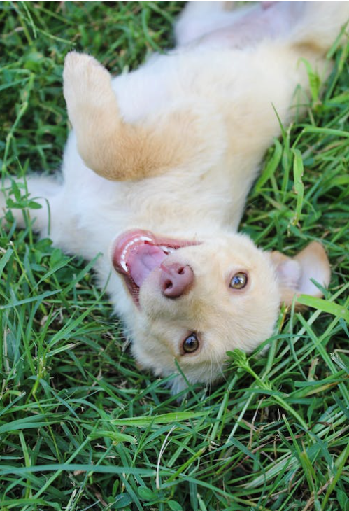 51d12f89c3205.png