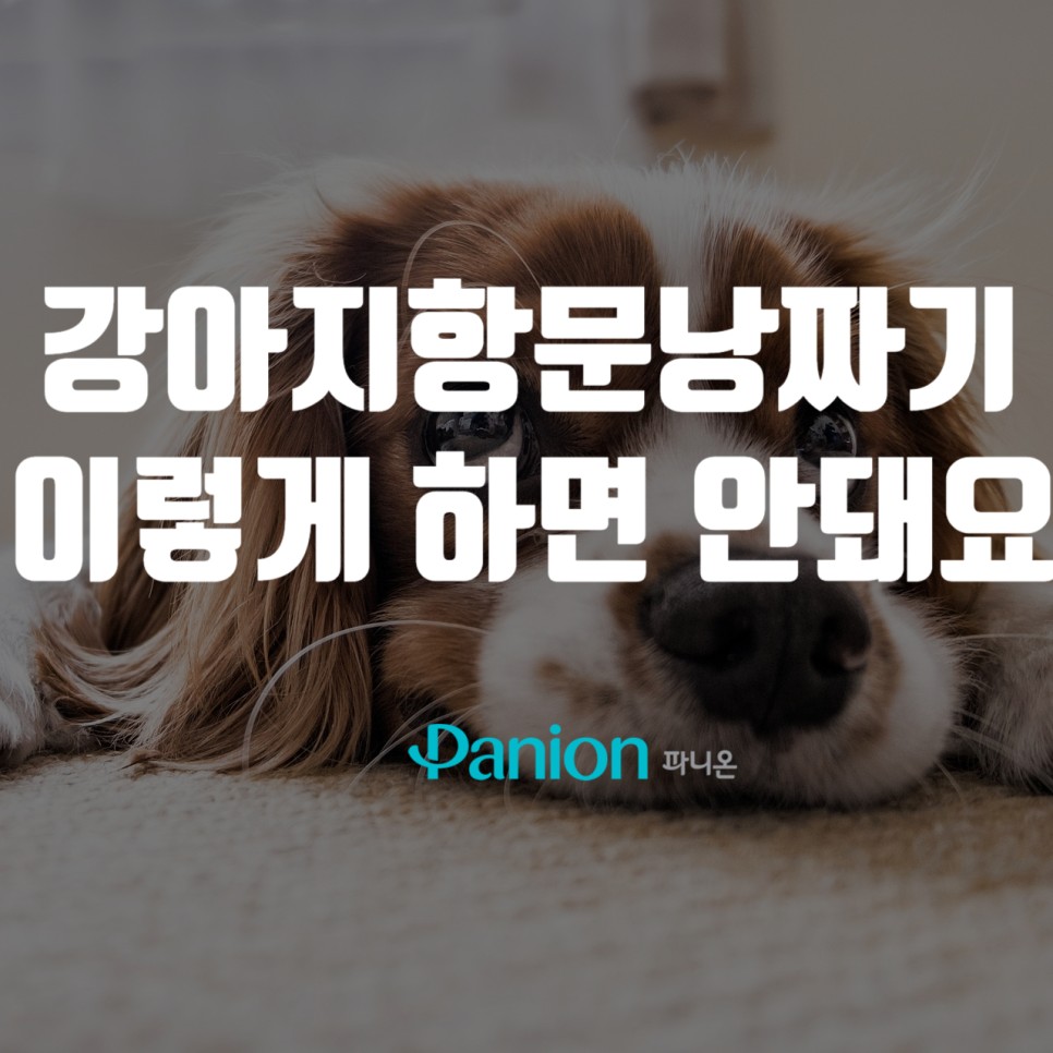 6653e24b3cd41.jpg