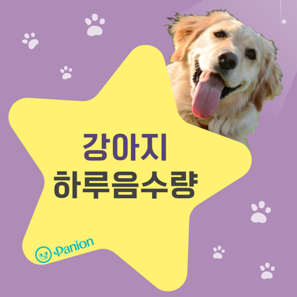 7b7370b68991b.png