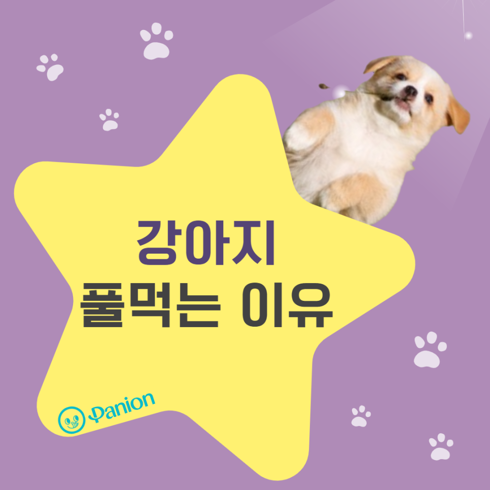 840aac9e69384.png