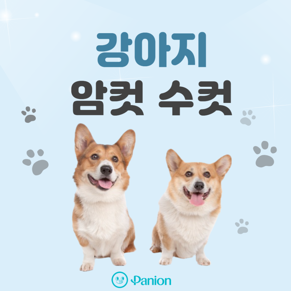 a64160efe8348.png
