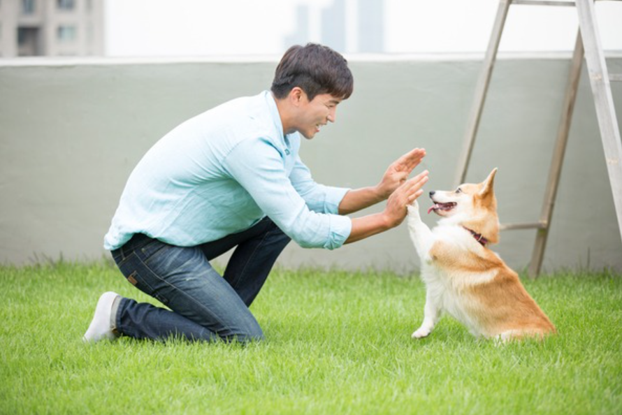a7052203966e9.png
