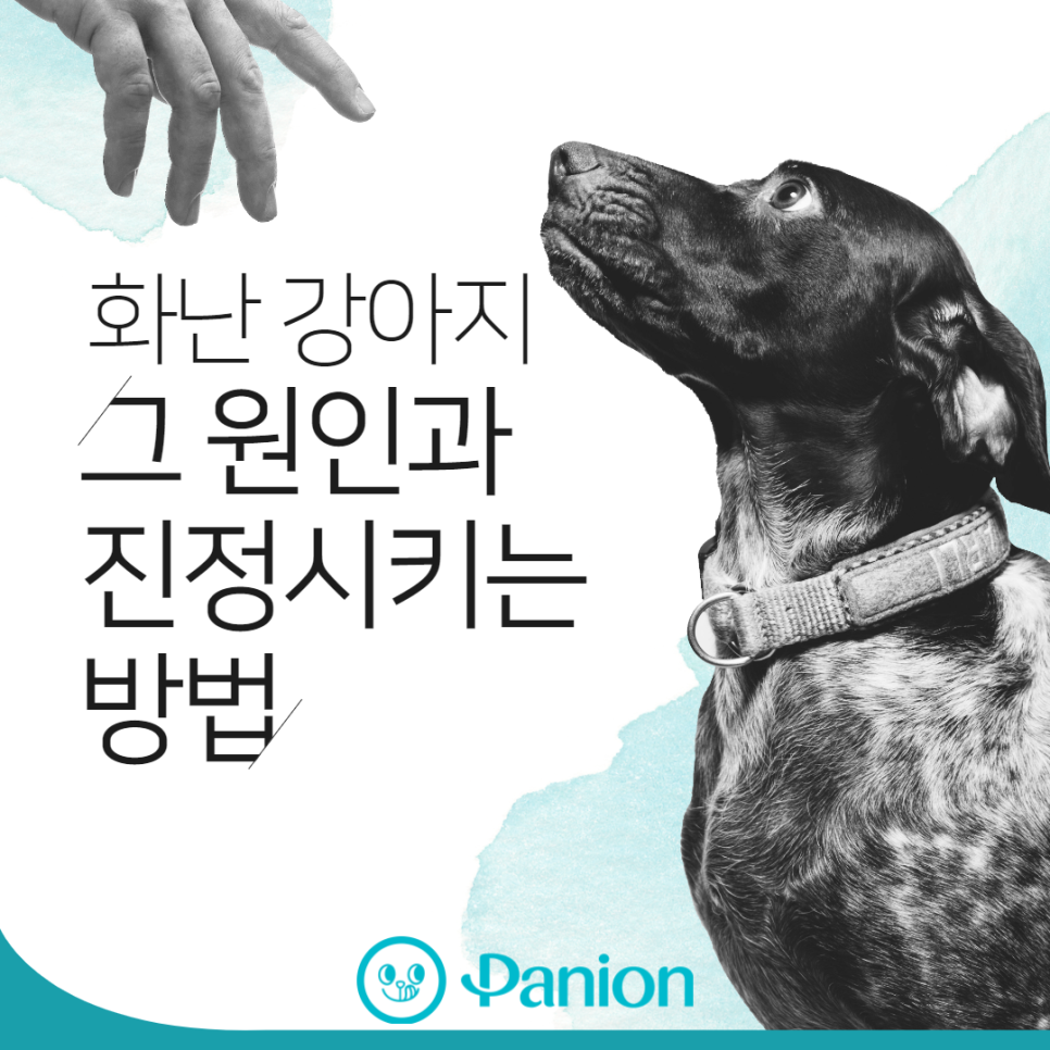 b282a367fe7c0.png