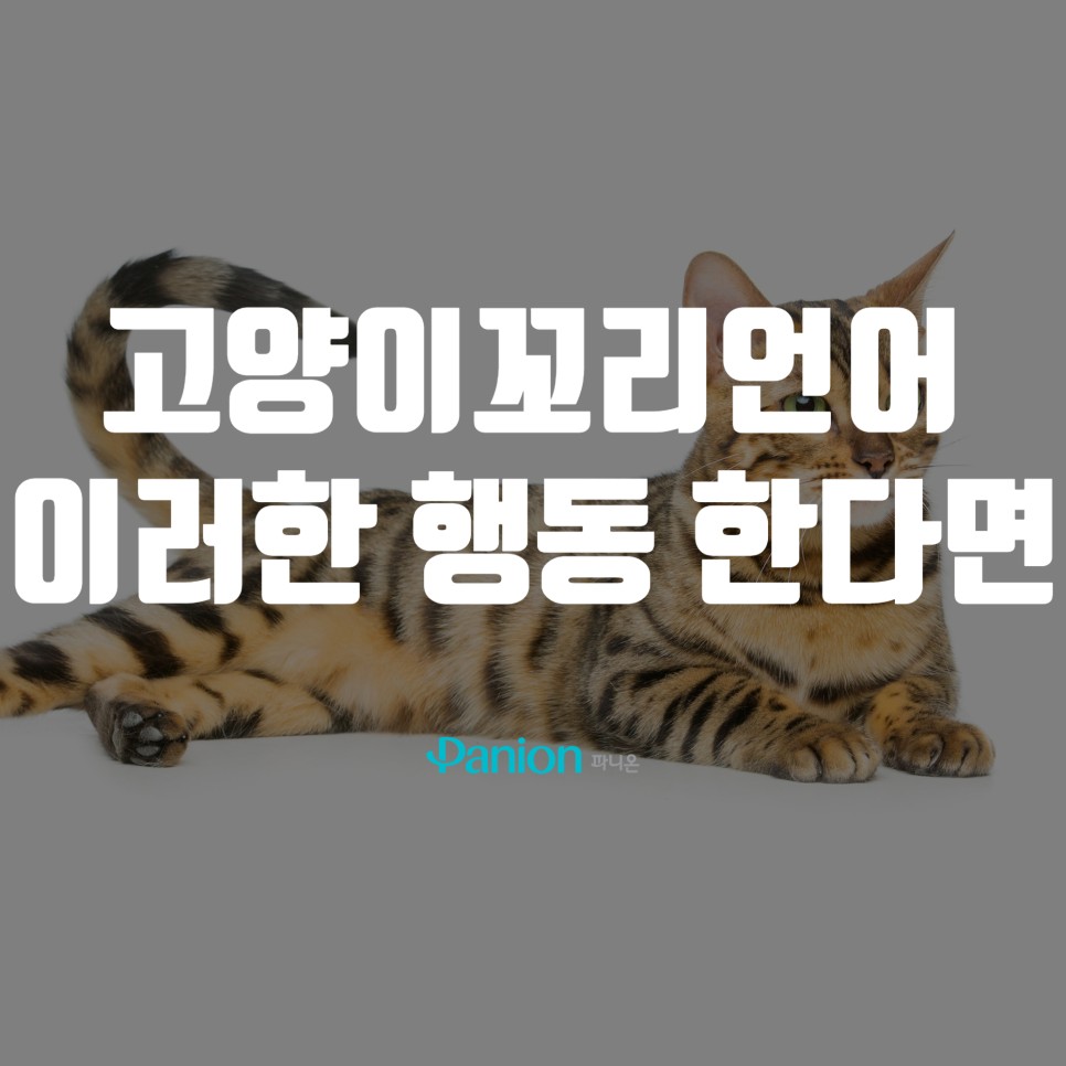 bc45c30c377d4.jpg