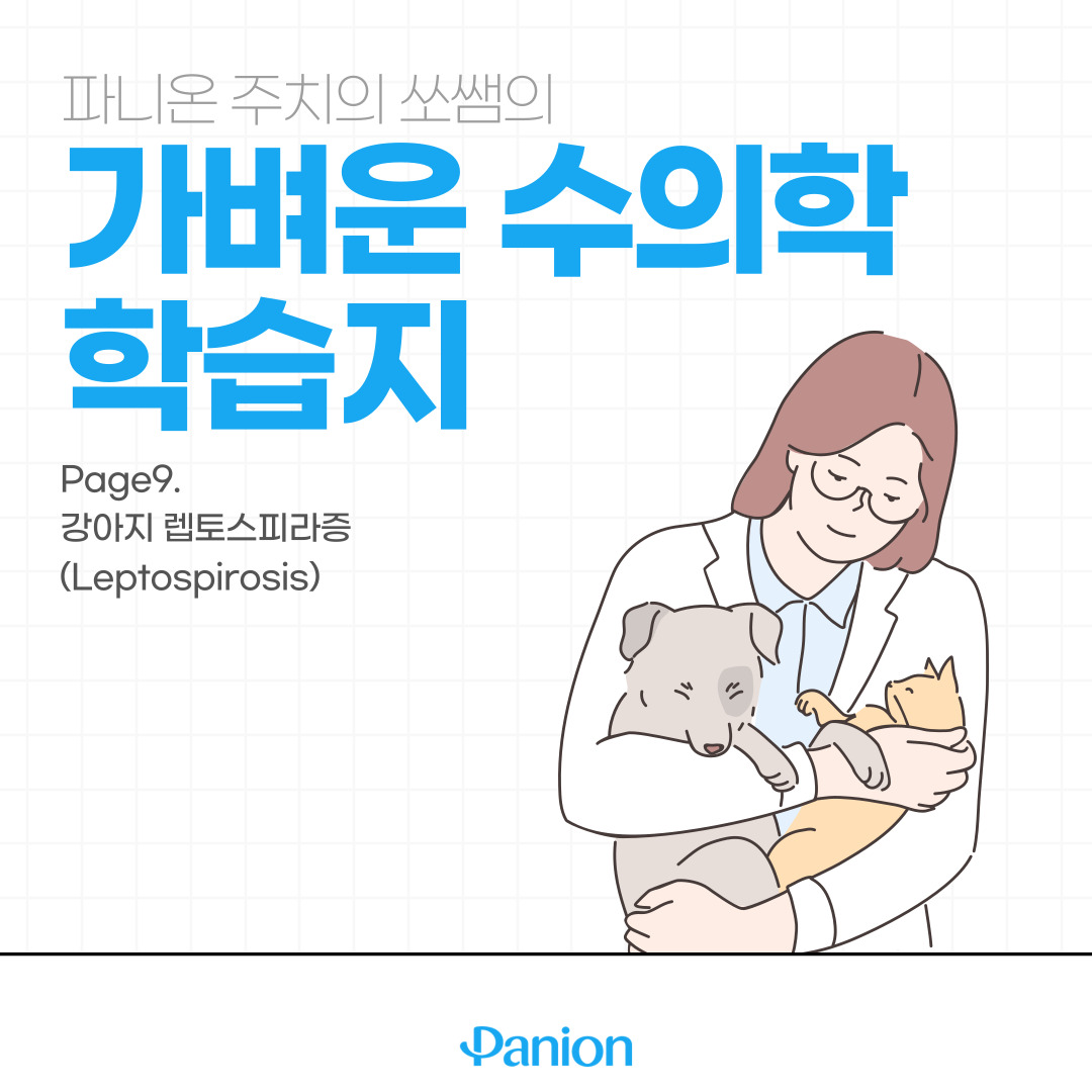 강아지 종합 백신] 강아지 렙토스피라증 (Leptospirosis)_ 가벼운 수의학 학습지 9회 : Panion Magazine