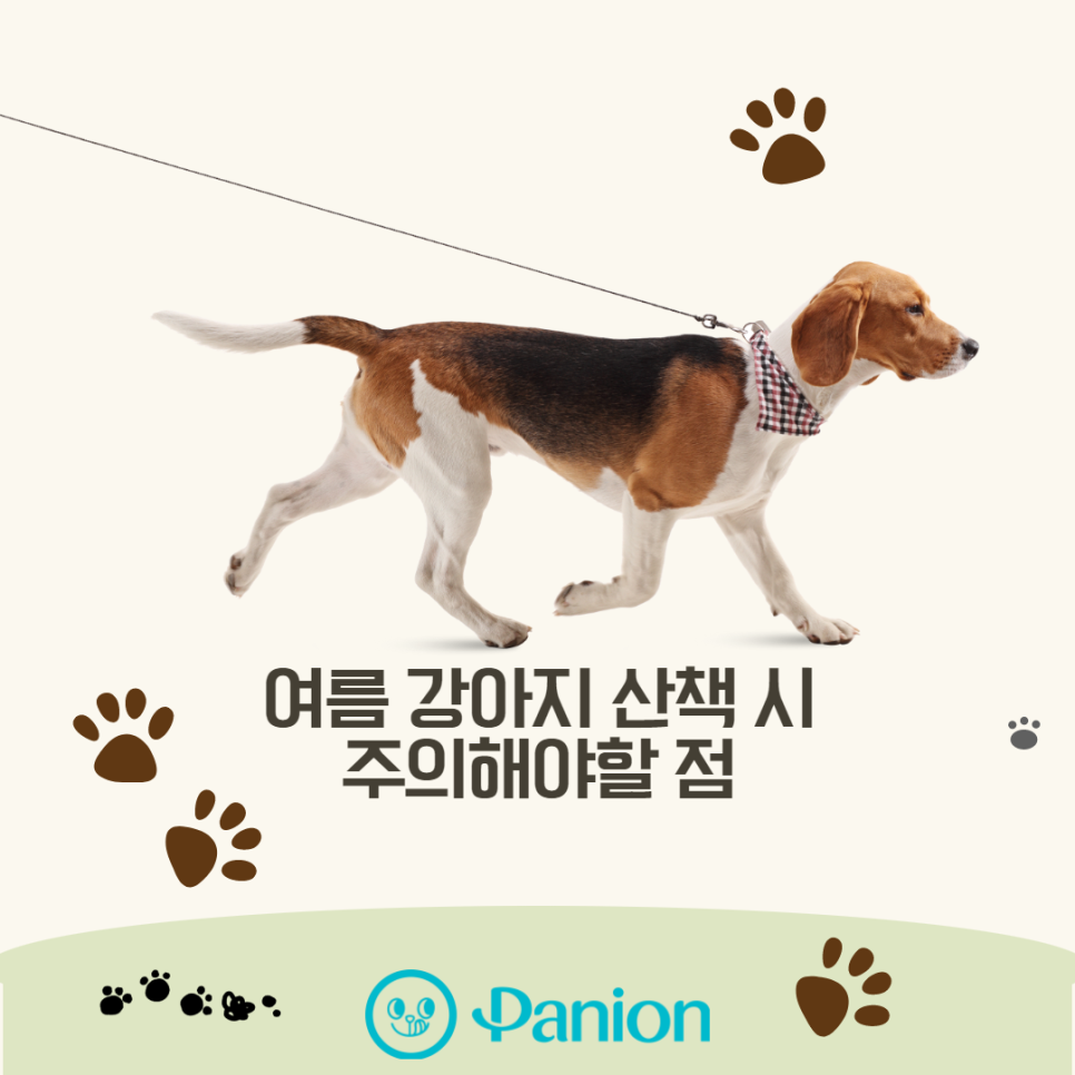 c3dcef3583f64.png