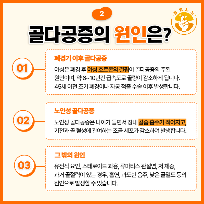 골다공증의 원인과 증상 치료 방법은? 6