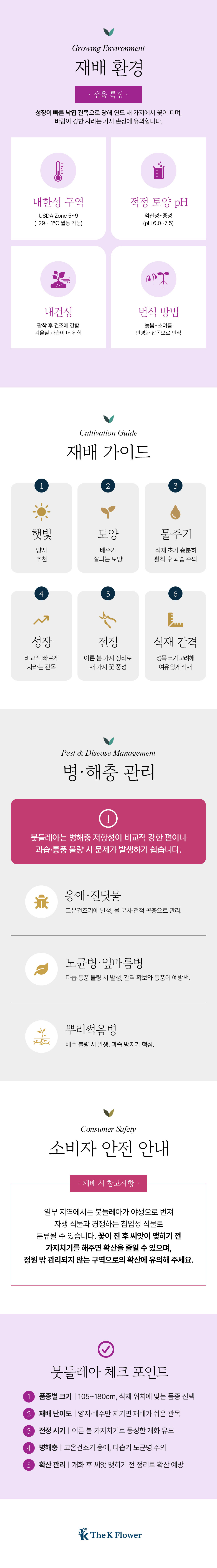 유럽 붓들레아 3종