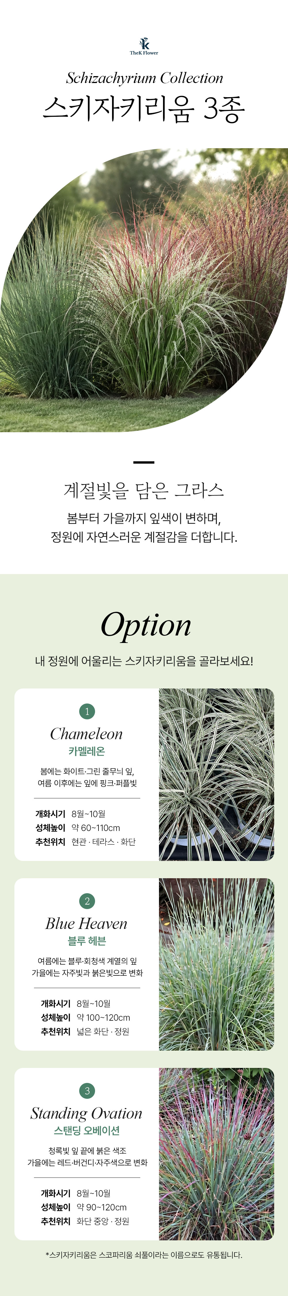 유럽 스키자키리움 3종