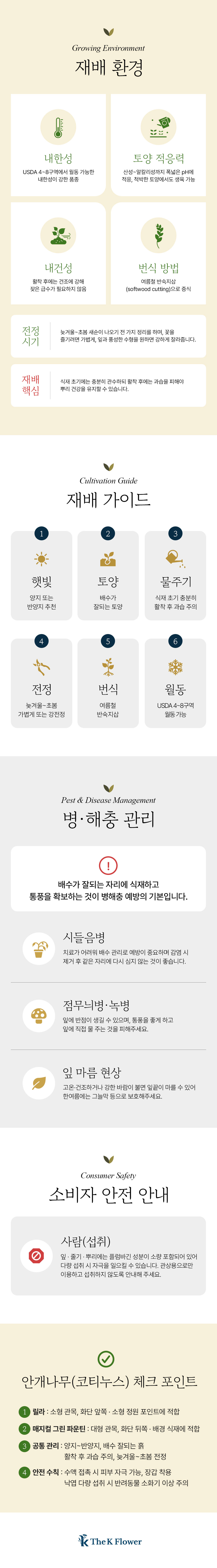 안개나무(코티누스) 2종