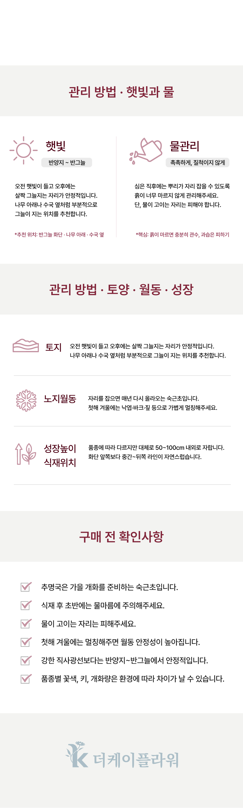 유럽 겹 추명국(아네모네) 6종