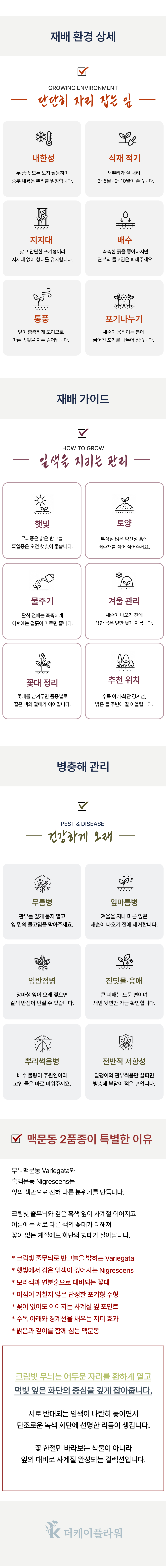 유럽 무늬맥문동 2종