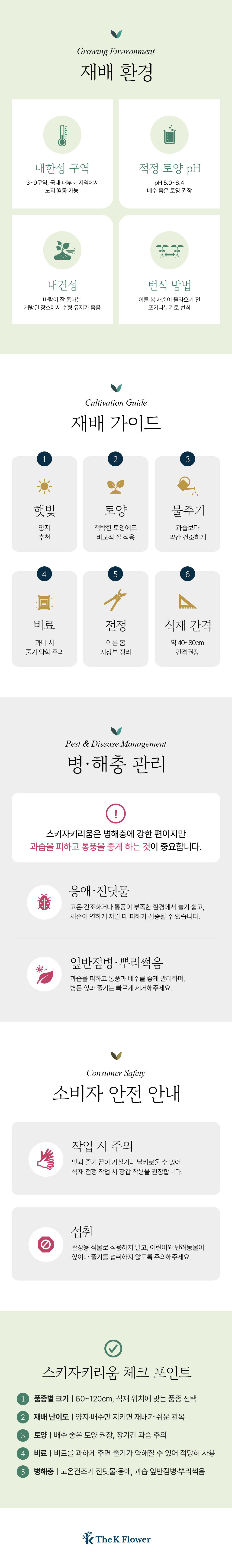 유럽 스키자키리움 3종