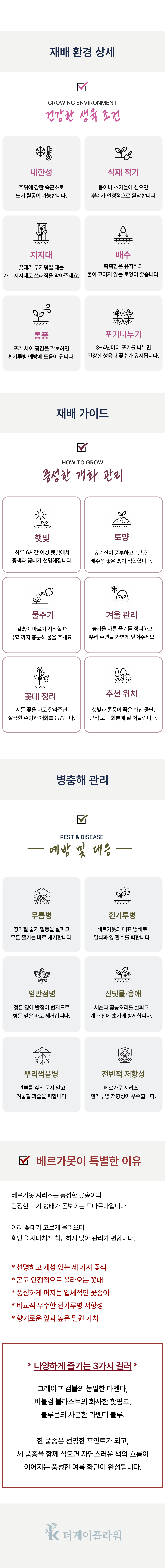 유럽 벨가못 모나르다 3종
