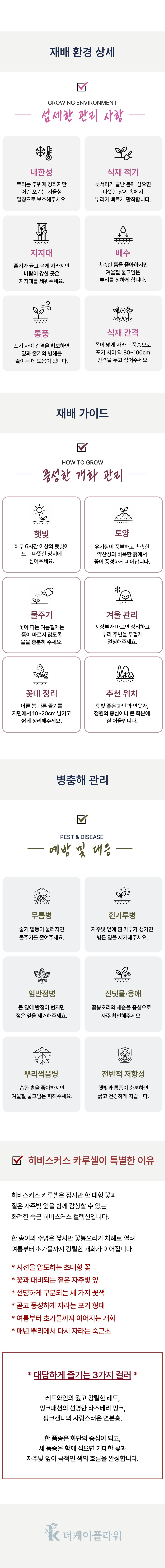 유럽 프리미엄 히비스커스 카루셀 3종