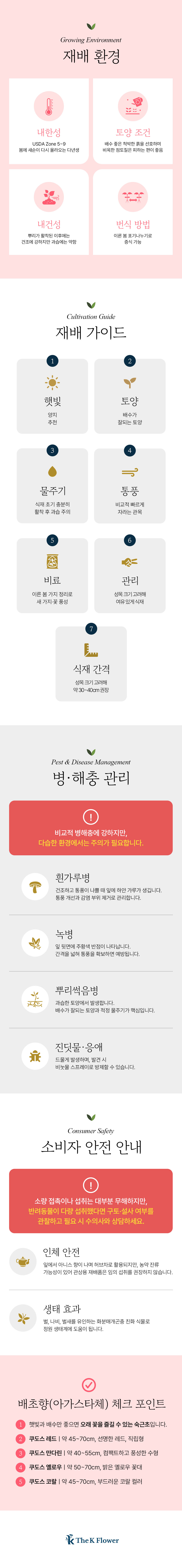 유럽 배초향 4종
