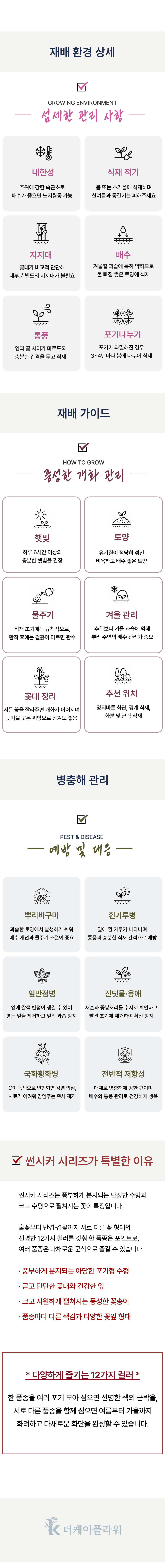 유럽 에키네시아 썬시커 12종