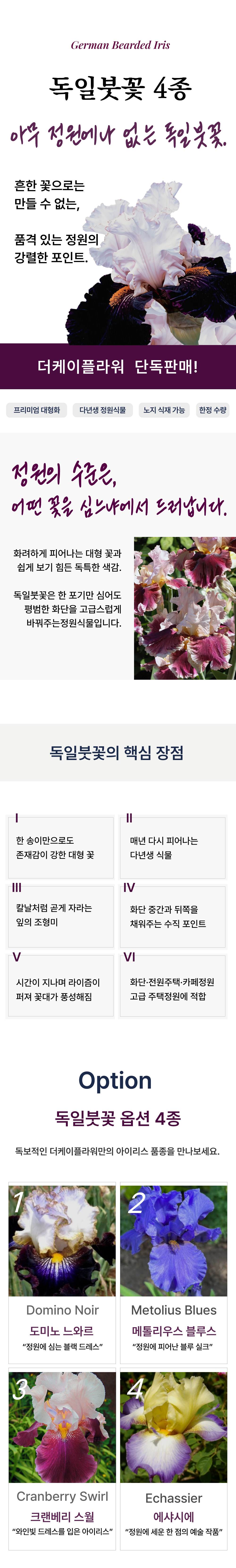 독일붓꽃 4종(저먼 아이리스)