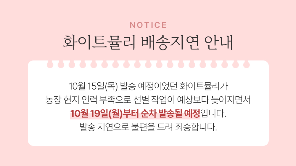 유럽 쥐꼬리새(뮬렌버기아) 1종