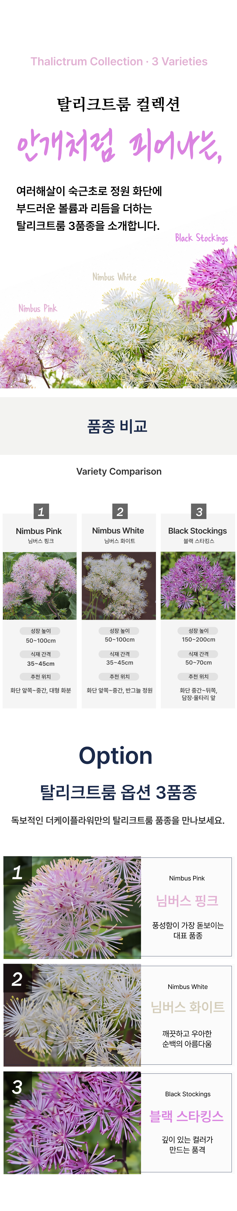 유럽 꿩의 다리 3종