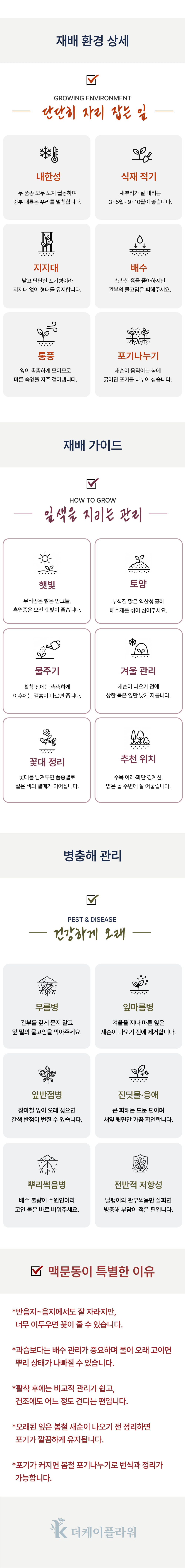유럽 흑맥문동
