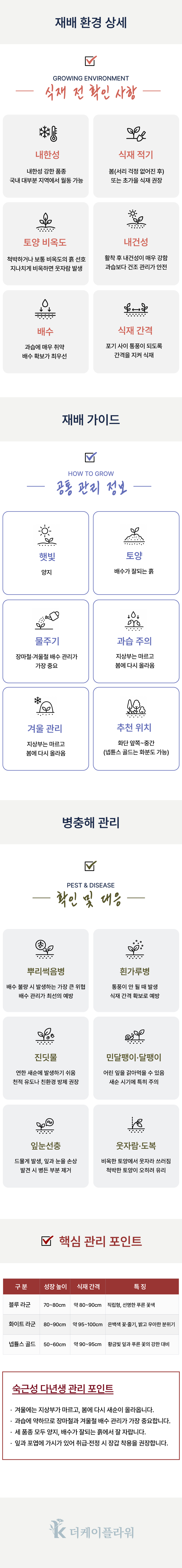 유럽 에린지움 3종