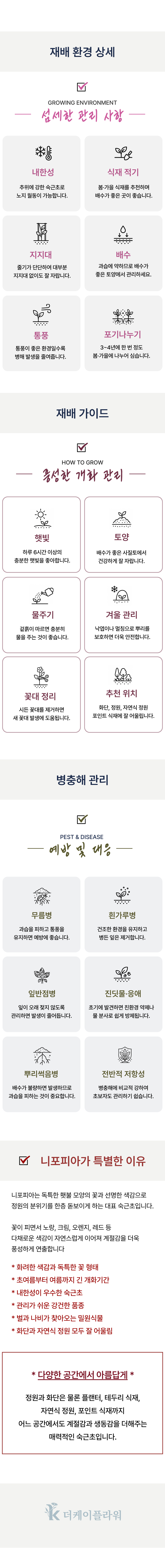 유럽 니포피아 4종