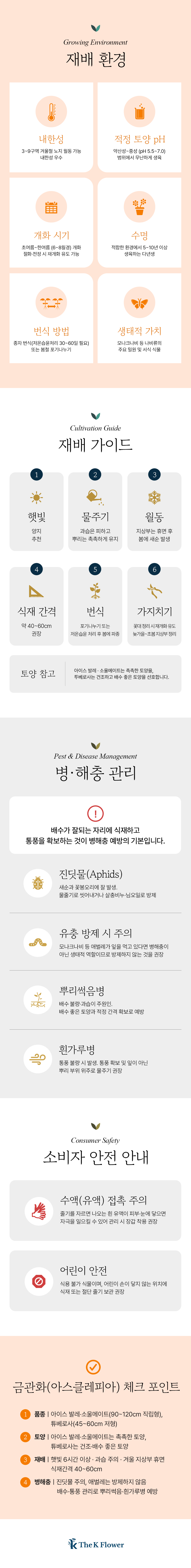 유럽 금관화 3종