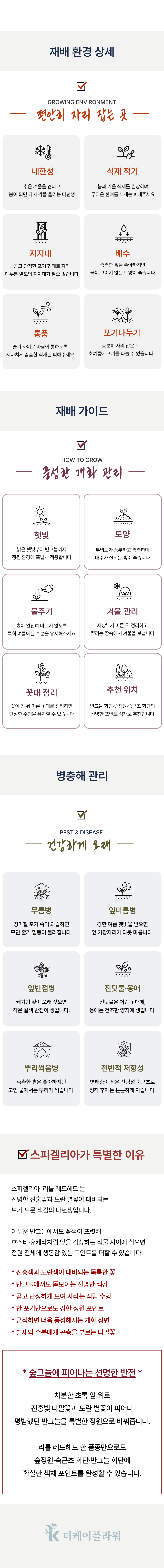 유럽 스피겔리아 1종