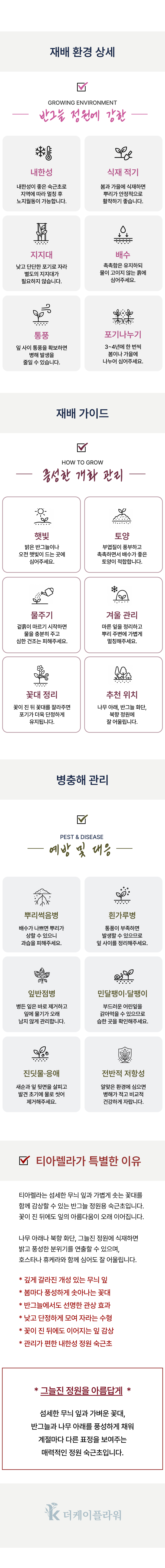 유럽 매화헐떡이풀(티아렐라) 5종