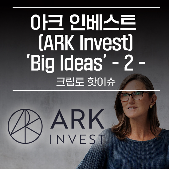 아크 인베스트(ARK Invest) 'Big Ideas'2 에임리치