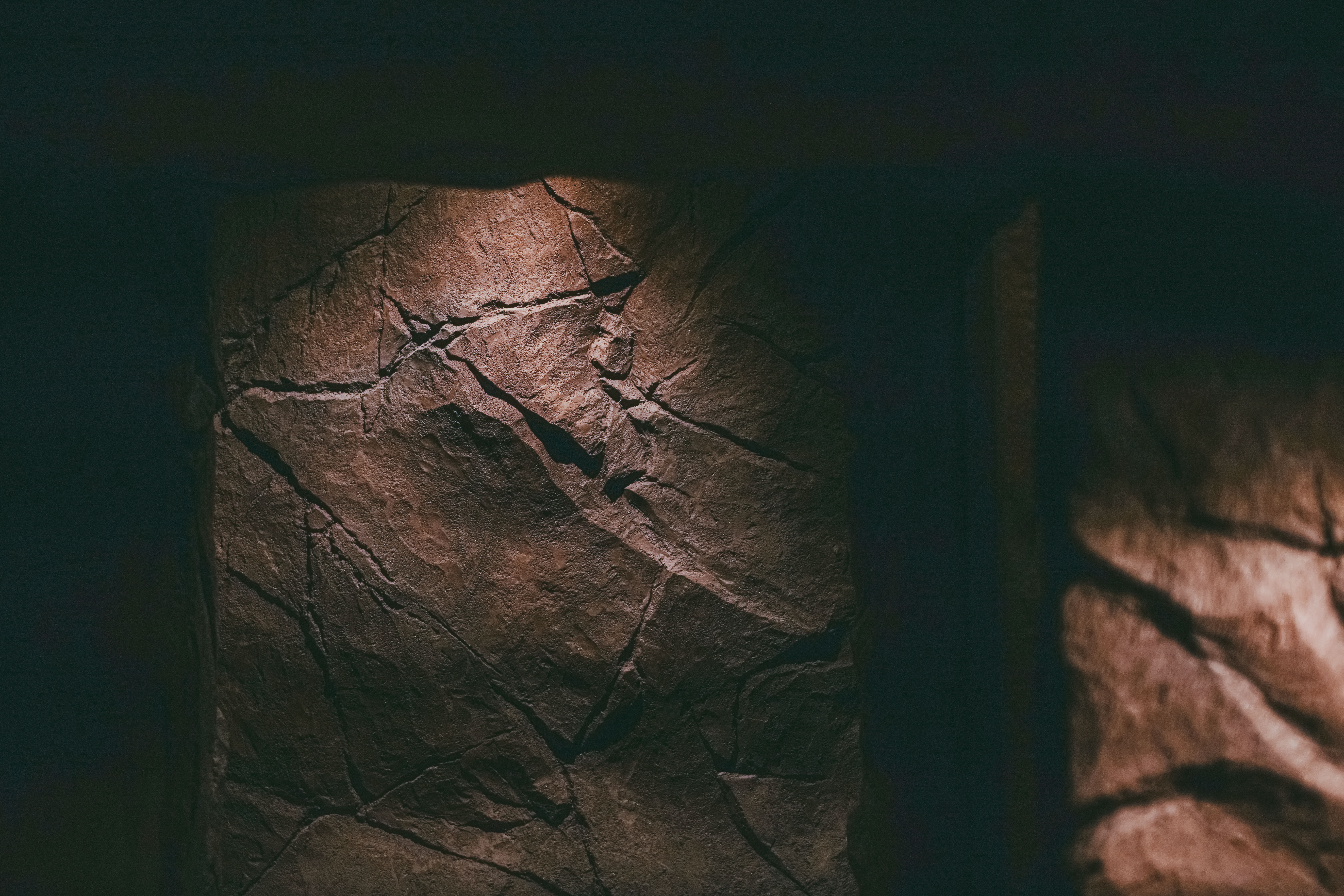 섬세이테라리움 성수동 핫플 전시 체험전시 섬세이