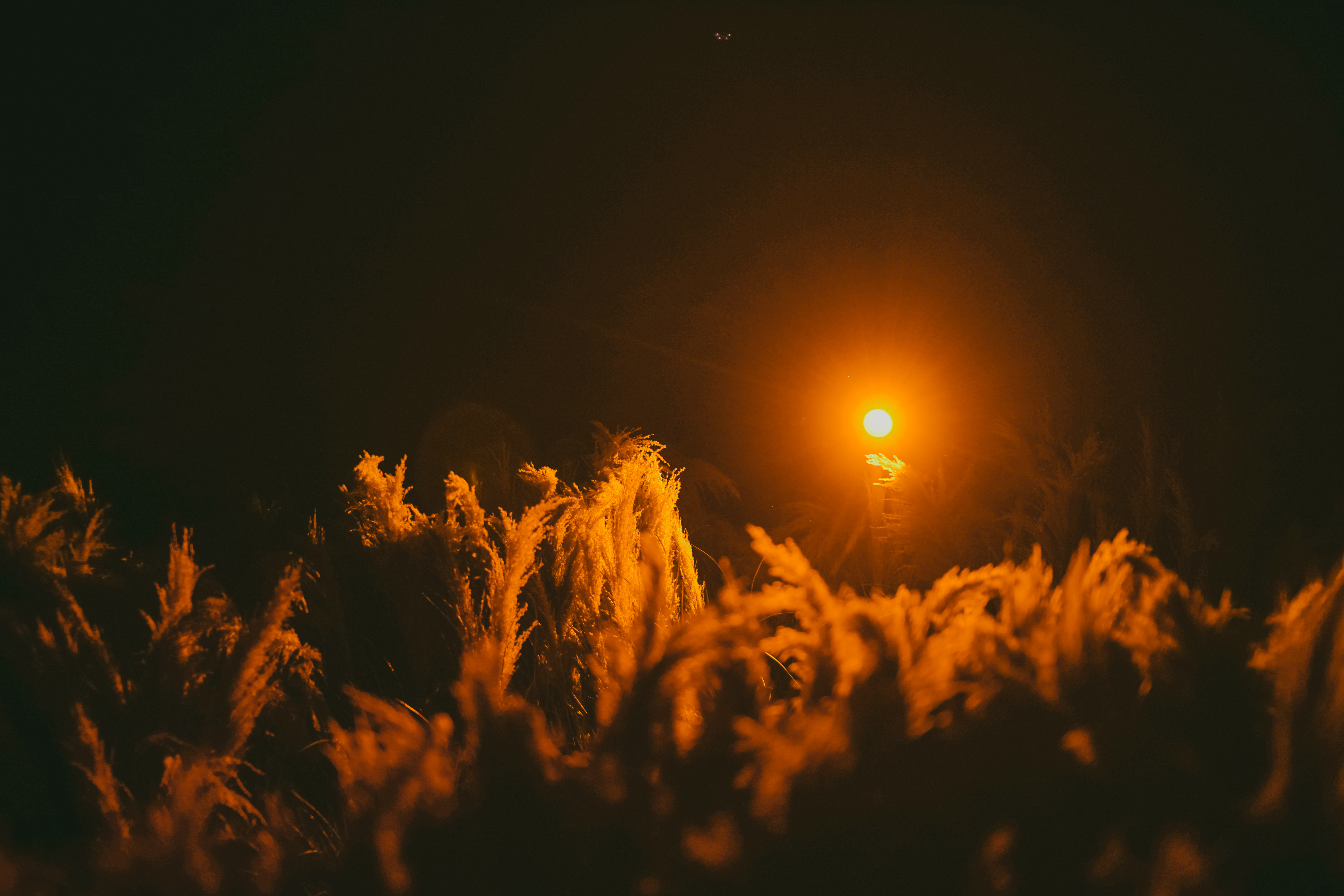 섬세이테라리움 성수동 핫플 전시 체험전시 섬세이