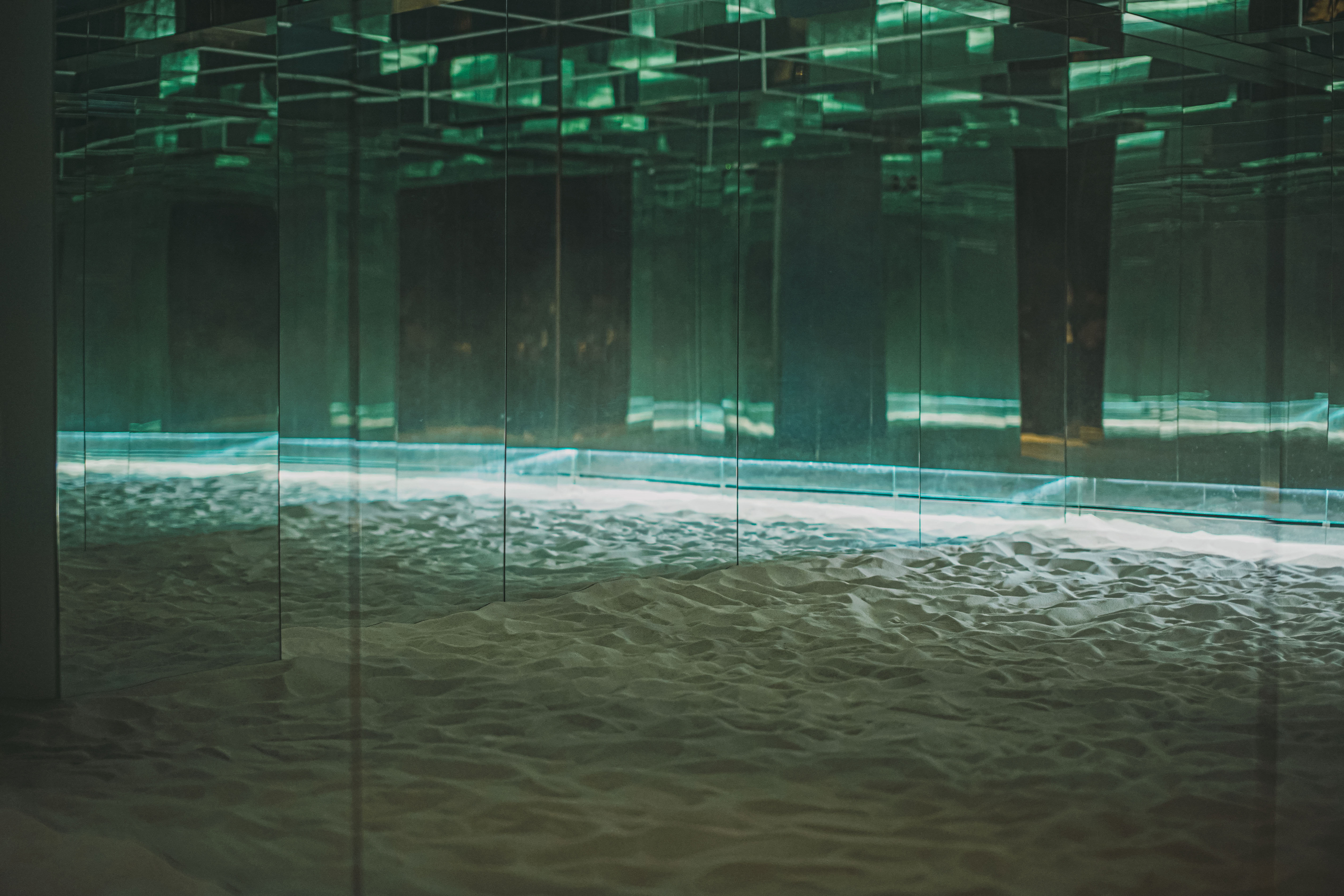 섬세이테라리움 성수동 핫플 전시 체험전시 섬세이