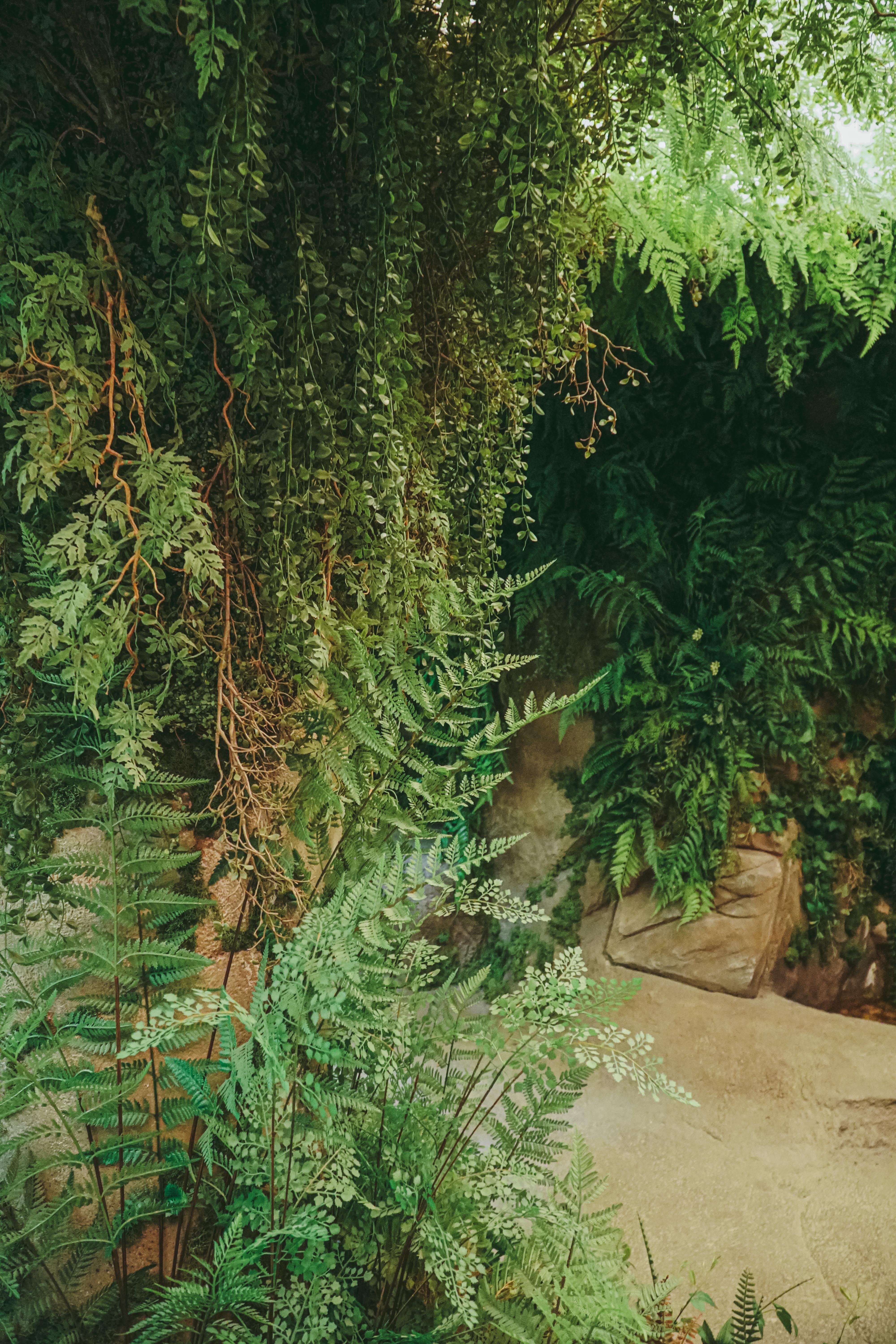 섬세이테라리움 성수동 핫플 전시 체험전시 섬세이